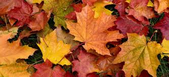 Fall Preventive Maintenance Checklist with autumn leaves background.